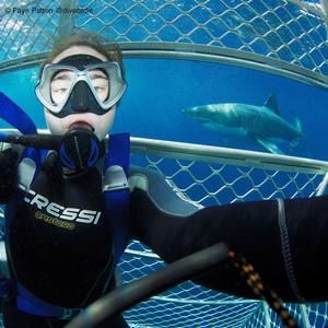 Meet your Posher, Faye